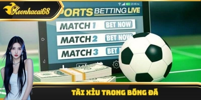 Tài Xỉu Trong Bóng Đá – Cách Đọc và Kinh Nghiệm Cược
